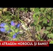 Sfanta Maria, sarbatoare cu superstitii! Iata ce trebuie si ce nu trebuie sa faceti astazi daca vreti sa va mearga bine tot anul